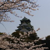 DSC02595
