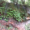 IMG_0112