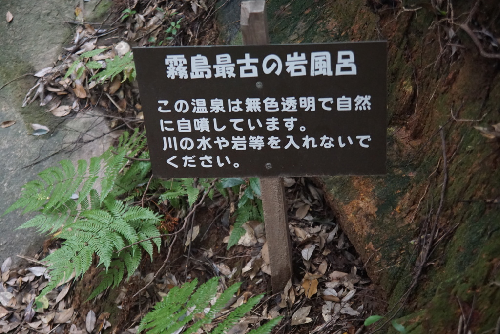 DSC04947