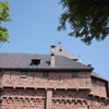 DSC03529