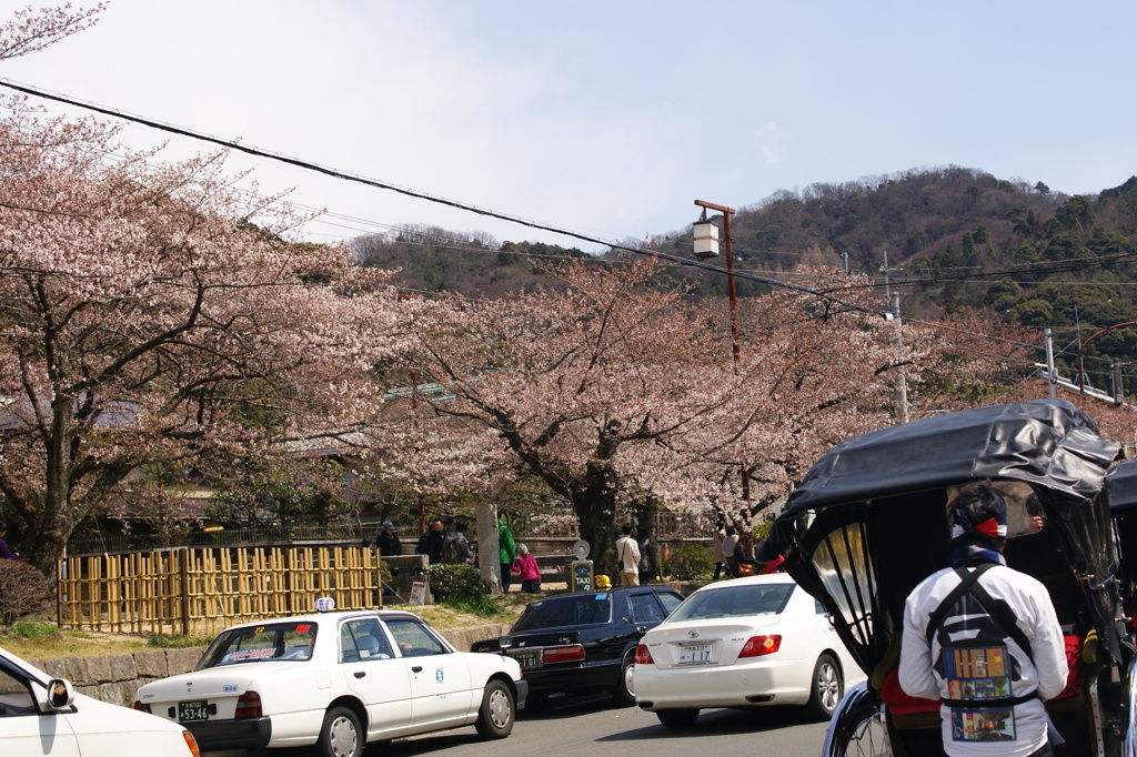 哲学の道