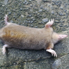 P1030053