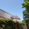 DSC03558