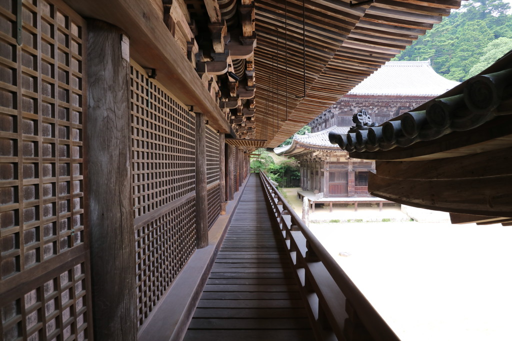 浅草善哉40 円教寺 軒下