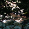 DSC03842