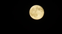 DSC03974