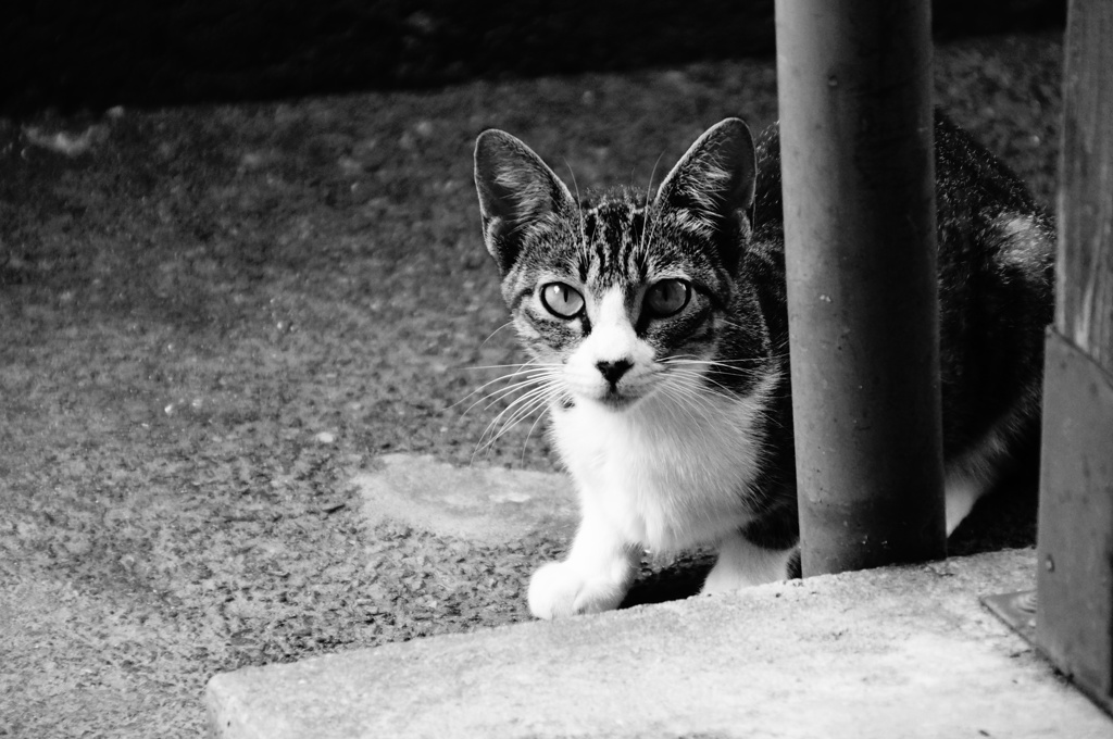 DSC03098