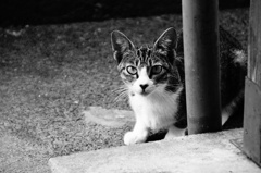 DSC03098