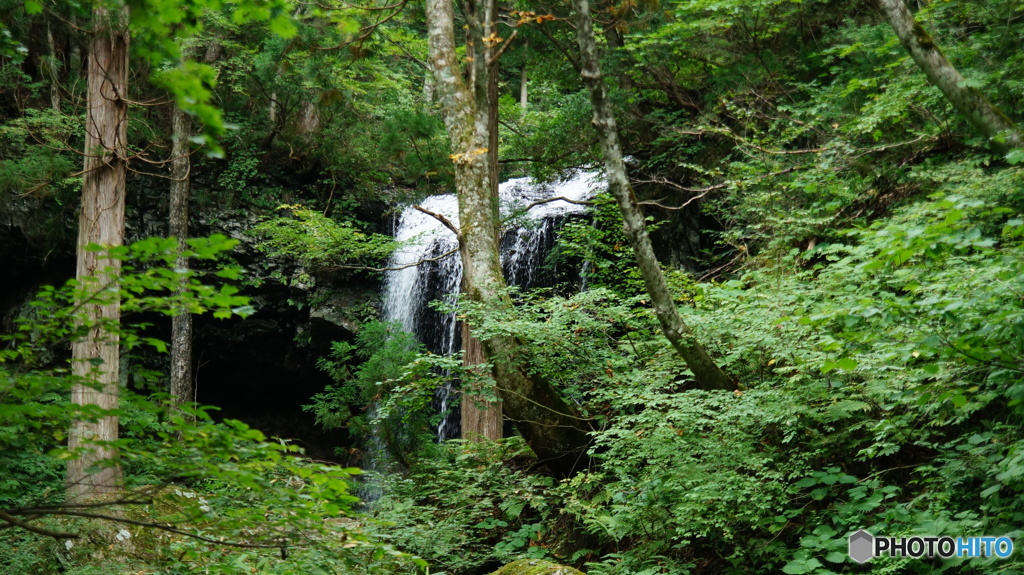 DSC04130