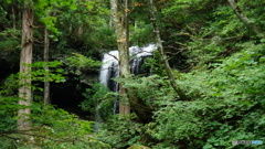 DSC04130