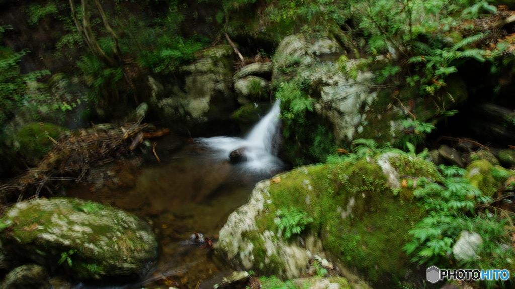 DSC04136