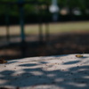 DSC03986