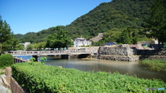 DSC04232