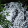 DSC04184