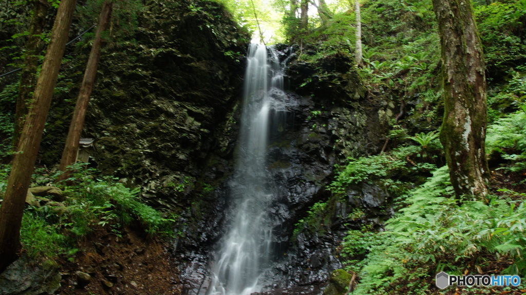 DSC04208