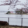 DSC04363
