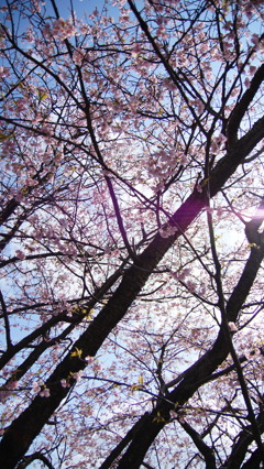 DSC04095