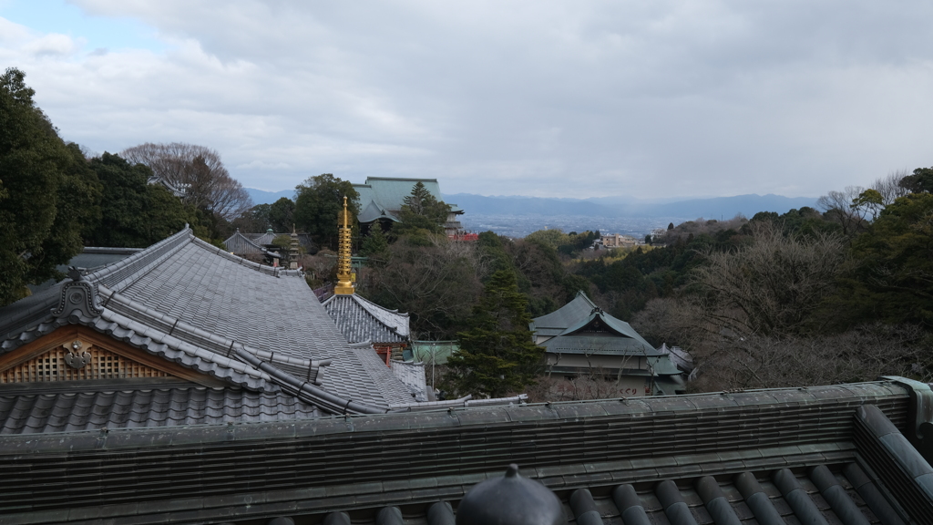 DSCF0654