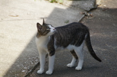 DSC02981