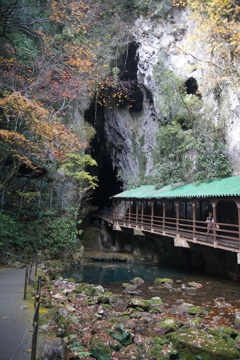 DSC04687
