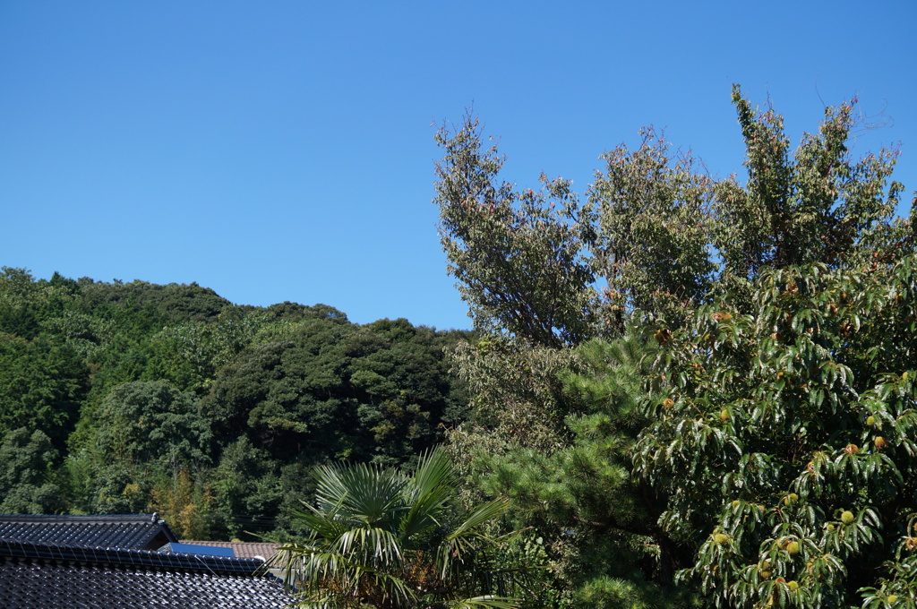 DSC03199