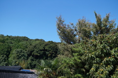 DSC03199