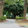 DSC04250