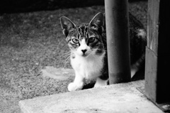DSC03097