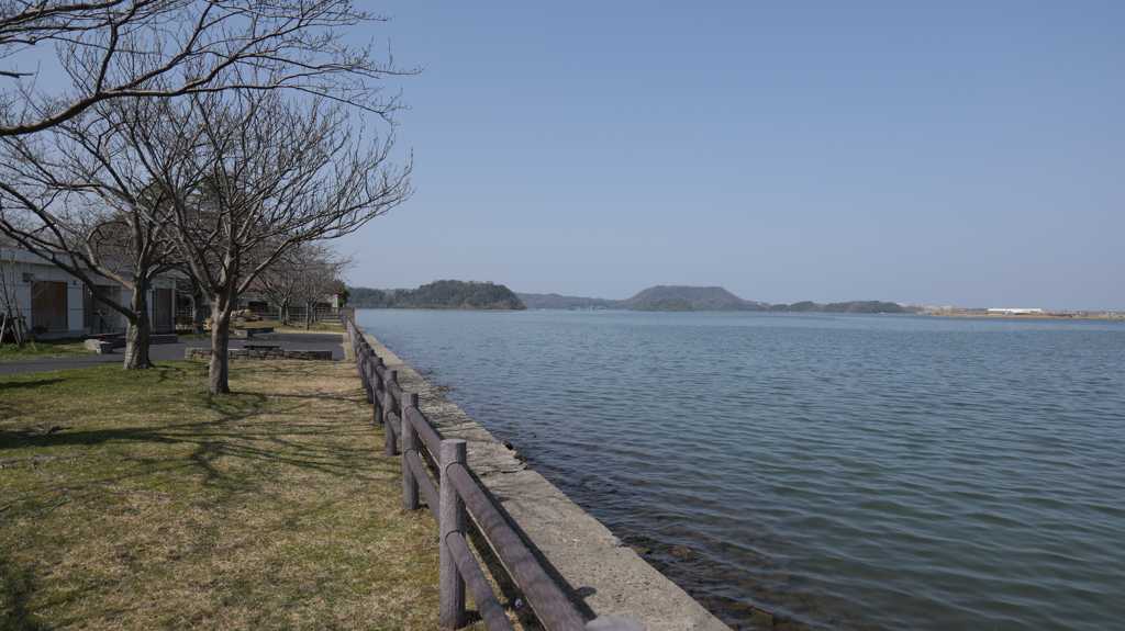 湖山池　浅草善哉128