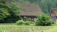 白川郷　茅葺き3　浅草善哉160