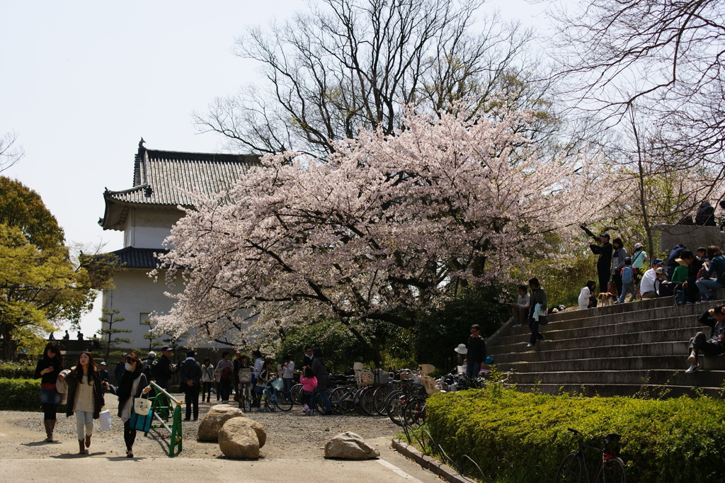 DSC02580