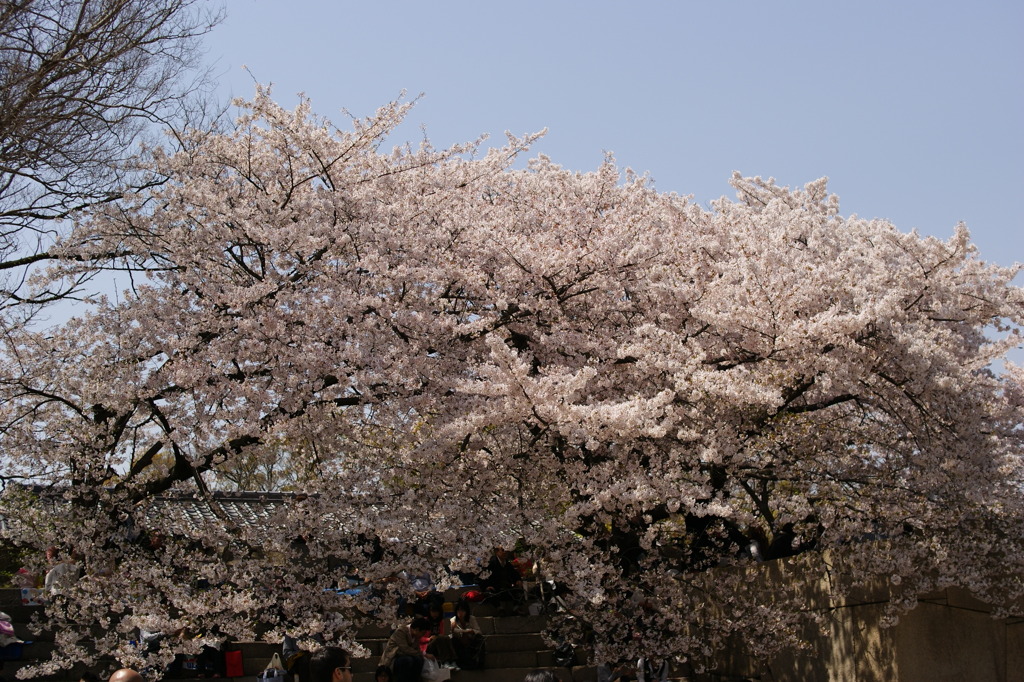 DSC02581