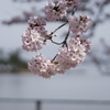 DSC04364