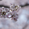 DSC04369
