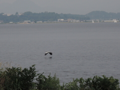 DSCN0206