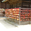 DSCF0323