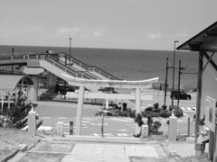 DSCN0213