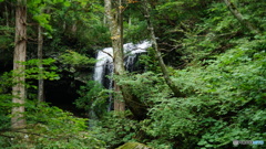 DSC04129