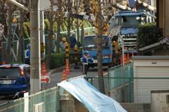 勤労感謝の日２