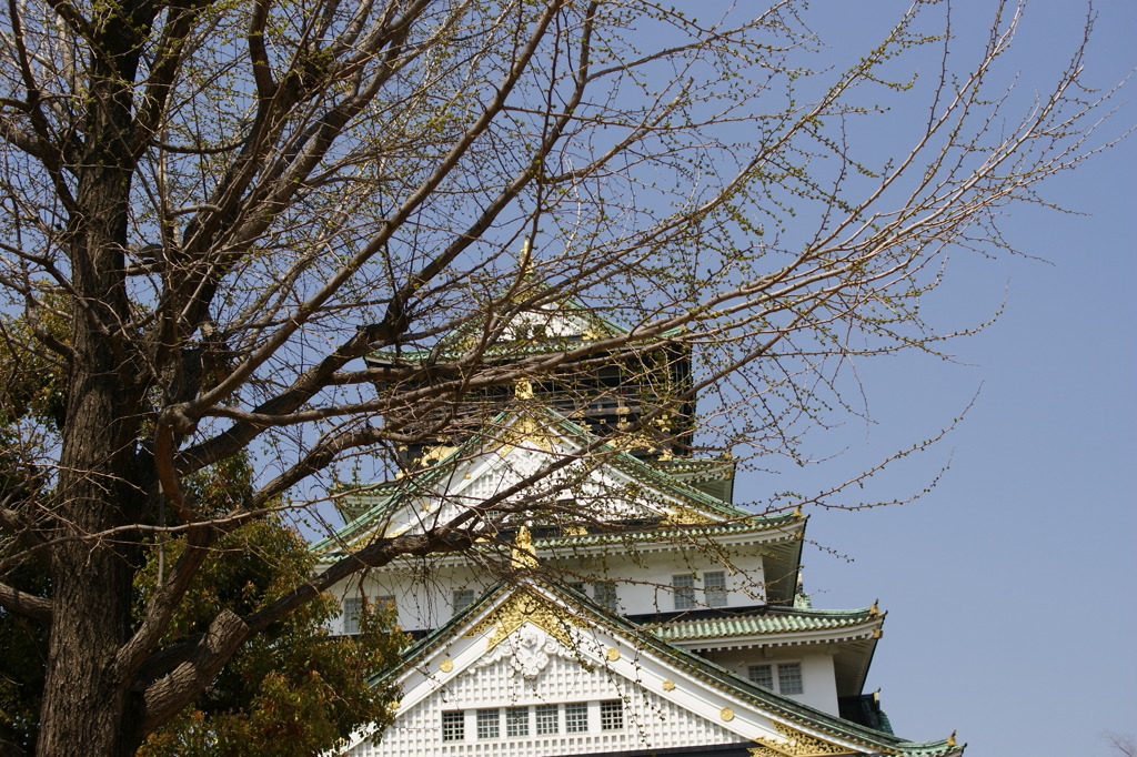 DSC02588