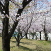P1000104