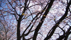 DSC04094