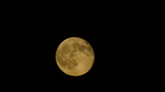 DSC03972