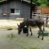 DSCF0449