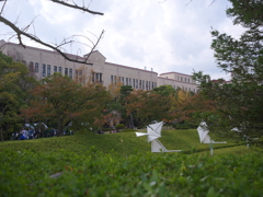 関西学院大学3