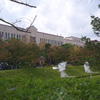 関西学院大学3
