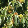 DSC03213