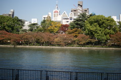 秋の天満橋