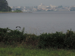 DSCN0207