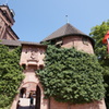 DSC03556